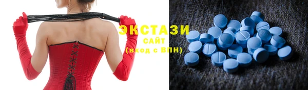 МДПВ Новозыбков