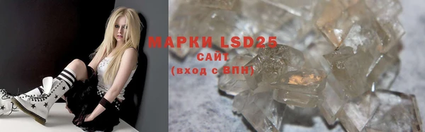 индика Новокубанск