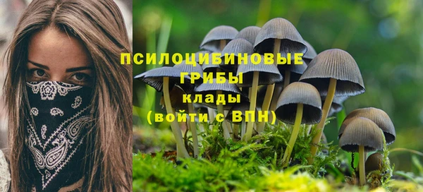 марки nbome Абаза